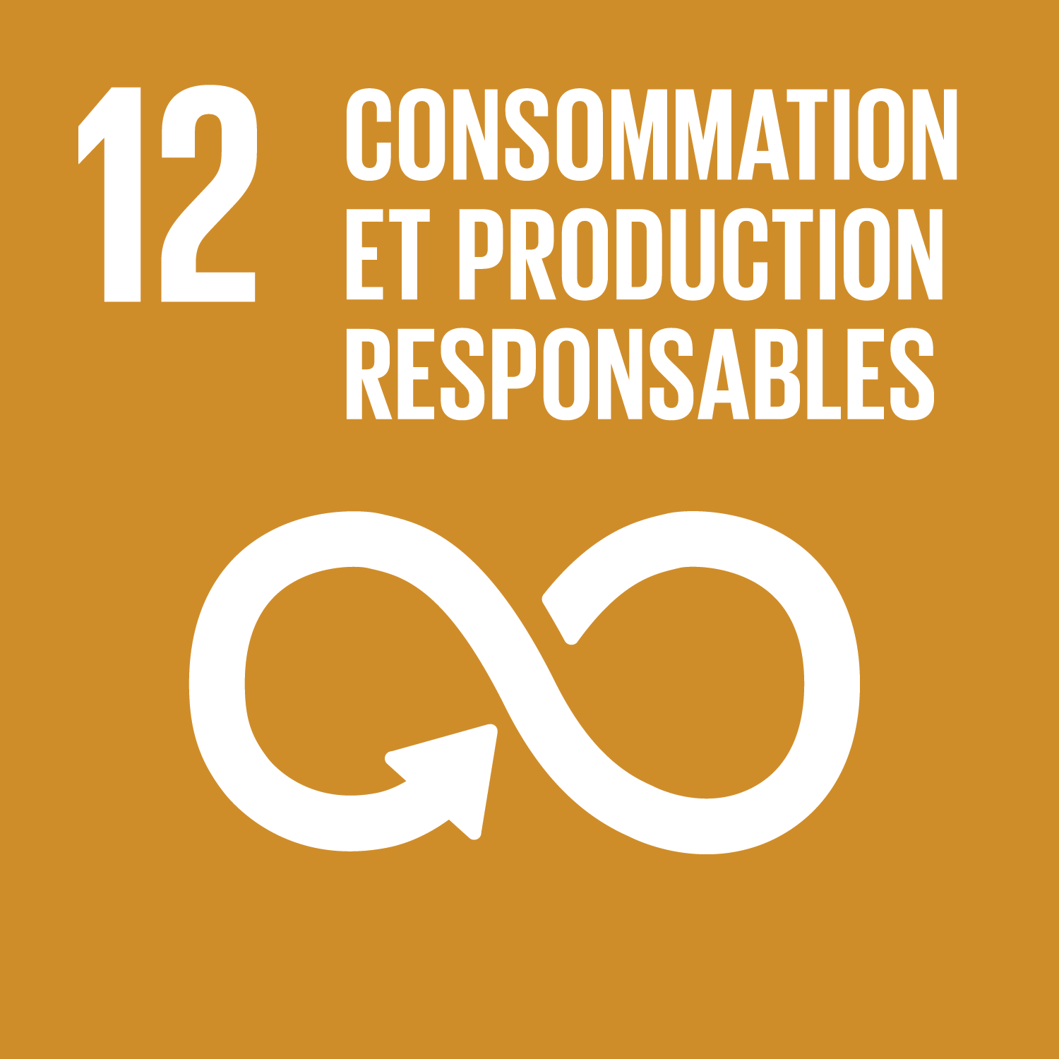 ODD n°12 - Consommation et production responsable