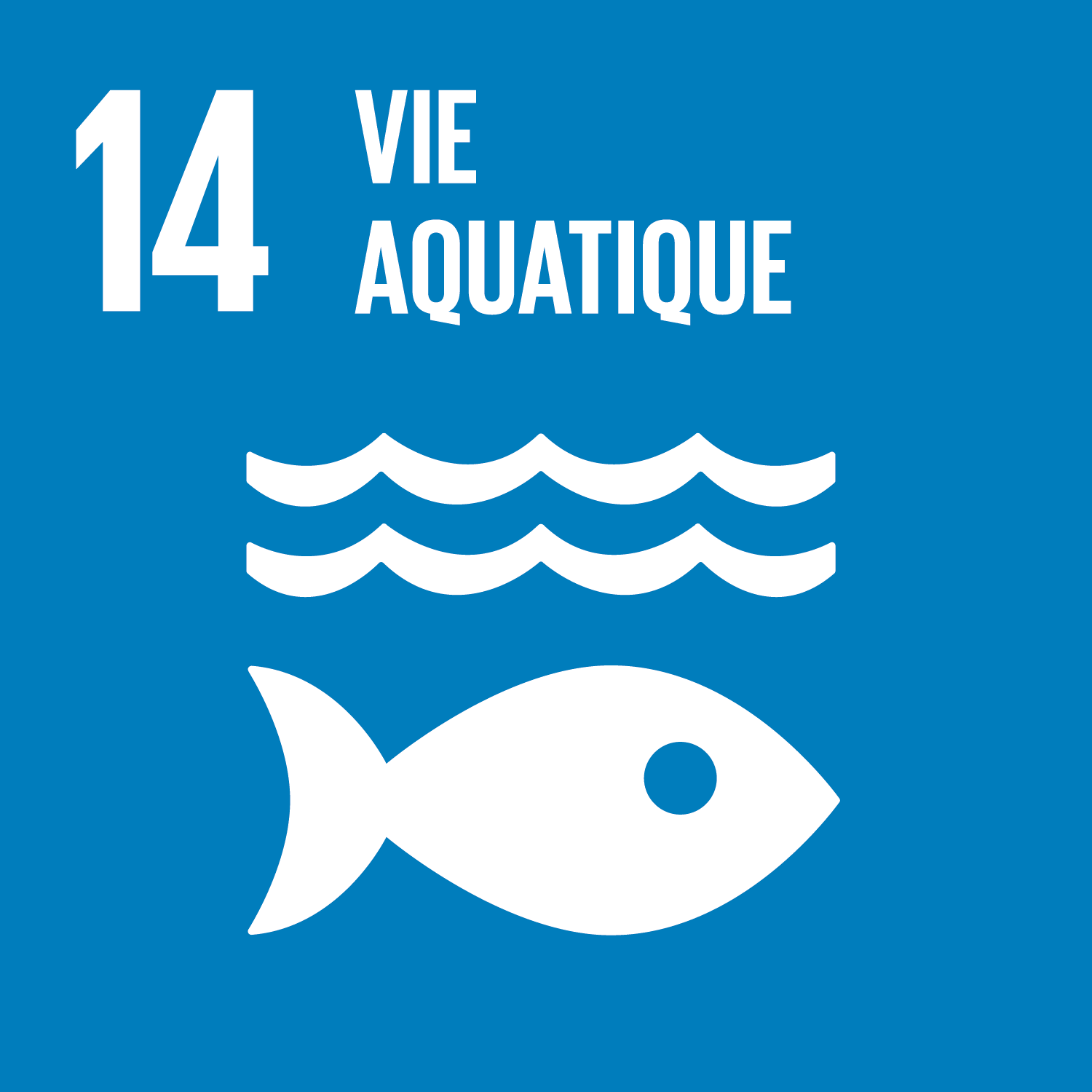 ODD n°14 - Vie aquatique